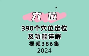 390个穴位定位及功能详解386集视频