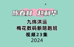 陈春林赵利华 九纬洪运｜梅花数码断陪跑班23集视频