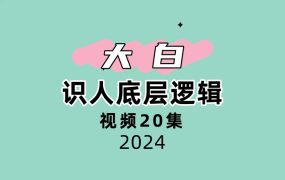 大白识人底层逻辑20集视频
