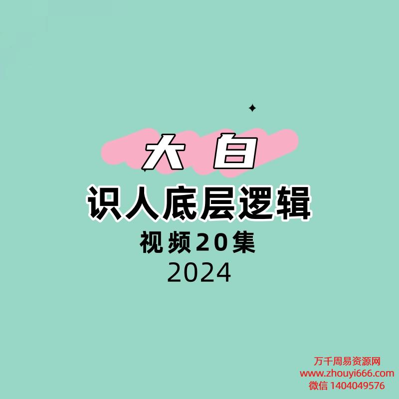大白识人底层逻辑20集视频