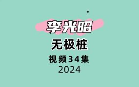 李光昭无极桩34集视频