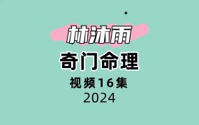 林沐雨 奇门命理视频16集
