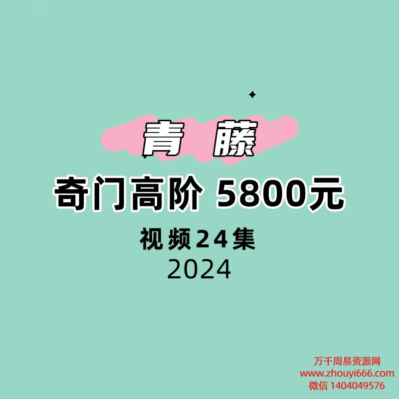 青藤奇门高阶24集视频