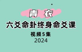 青衣六爻命卦终身 命爻课就是 青衣终身视频5集