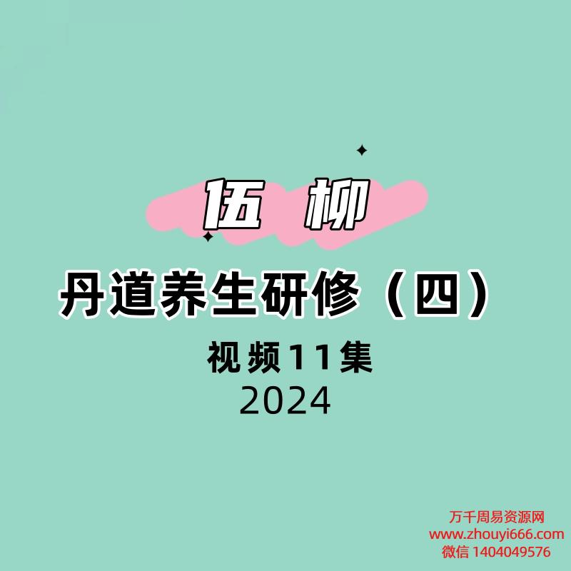伍柳丹道养生研修(四)12集视频