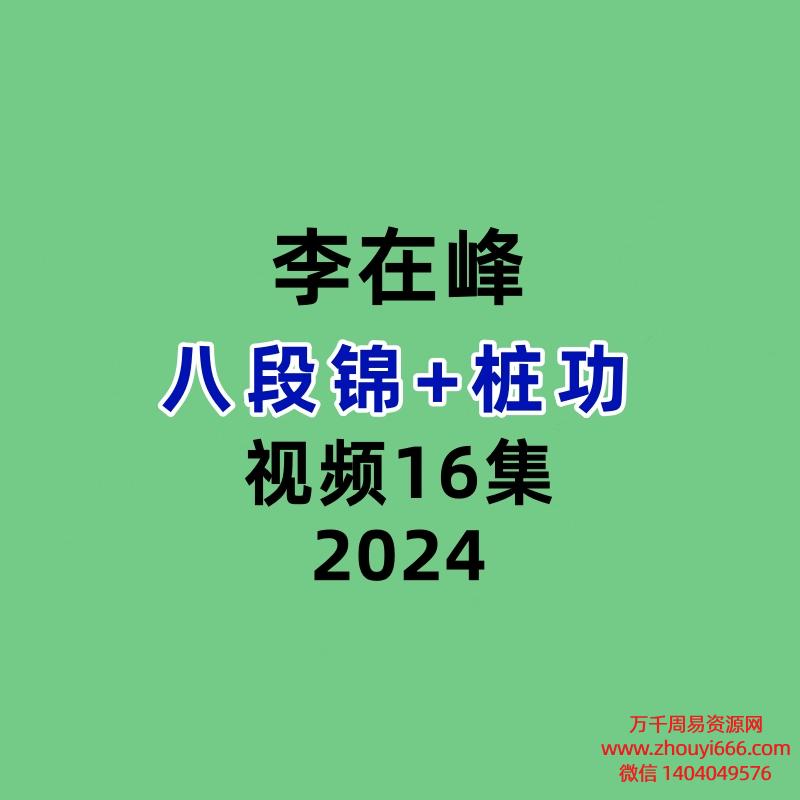李在峰八段锦+桩功16集视频