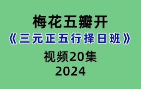 梅花五瓣开三元正五行择日班20集视频