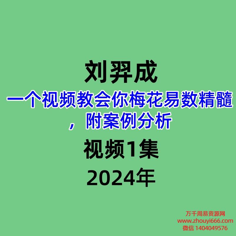 刘羿成,一个视频教会你梅花易数精髓,附案例分析,视频1集