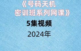《号码天机密训班系列网课》5集视频