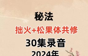 拙火+松果体共修30集录音