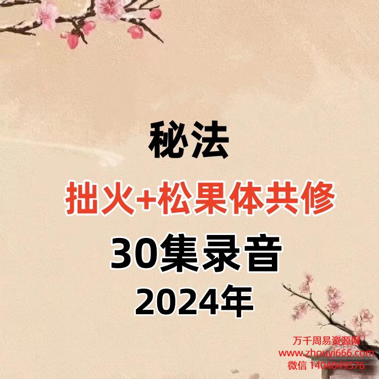 拙火+松果体共修30集录音