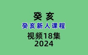 癸亥盲派八字新人课程18集视频