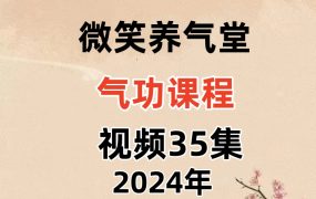 微笑养气堂气功课程，视频35集