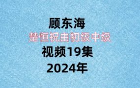 顾东海楚恒祝由初级中级视频19集