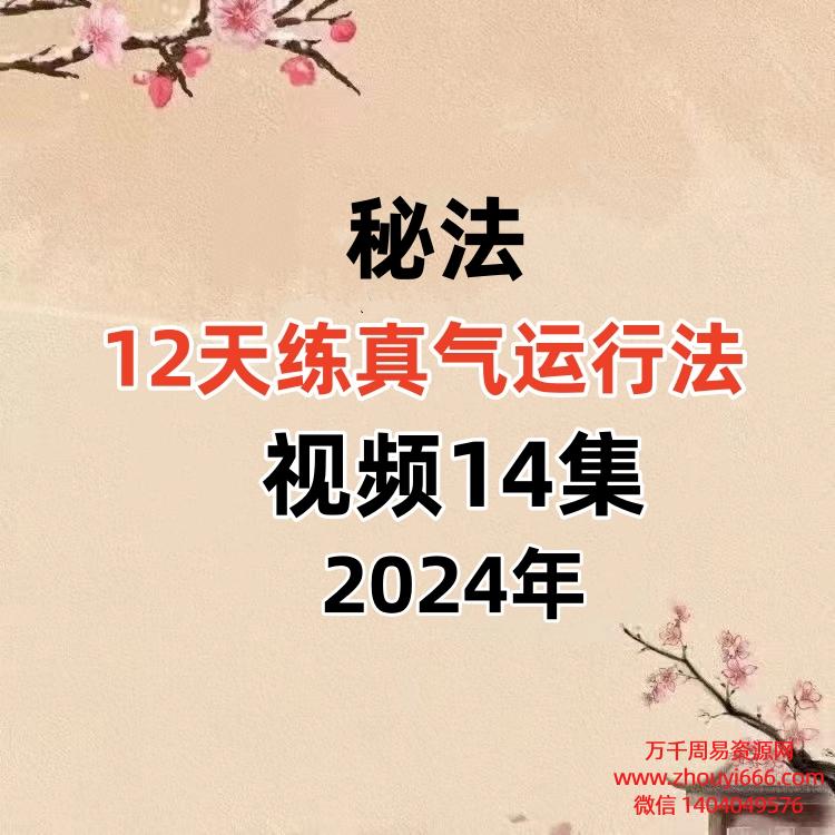 12天练真气运行法 ,视频14集