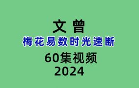 文曾梅花易数时光速断 60集视频