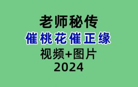 戊己土老师秘传催桃花催正缘