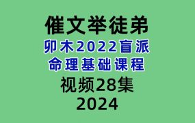 催老师催文举徒弟卯木2022盲派命理基础课程28集视频