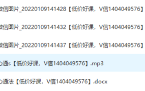 普传心通法门查事录音+文档