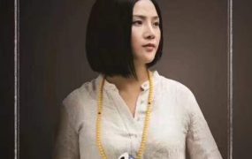 周素丽天机八字命理弟子密训班讲座，14个视频