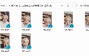 张林峰《太上法脉之大梦神通功》视频7集