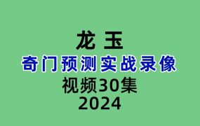 龙玉奇门预测实战录像30集视频