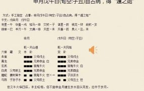 朱辰彬古六爻《增删卜易》卦例讲解，视频221集