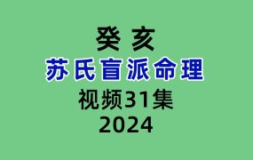 癸亥苏氏盲派命理31集