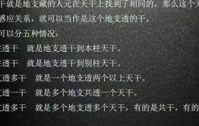 通天鼠盲派三合命理线上直播课视频30集+电子文档2本