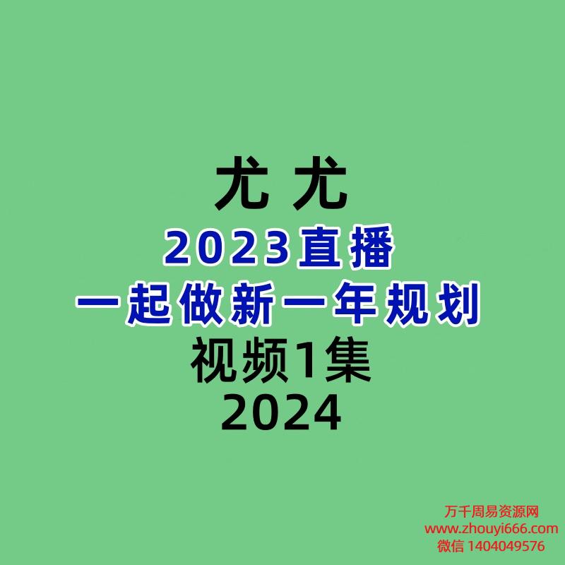 尤尤 2023直播一起做新一年规划视频1集