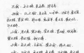 李林升二十八宿禽星演禽 手抄本电子书+录音20个