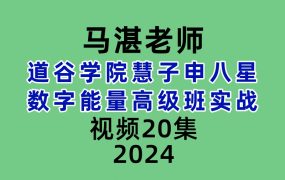道谷学院马湛老师慧子申八星数字能量高级班实战20集视频