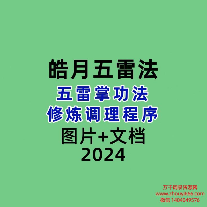 皓月五雷法五雷掌功法修炼调理程序 视频+图片+文档