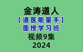 金涛道人道医能量手面授学习班9集视频