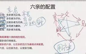 岱林周易六爻预测学-从入门到精通，视频65集
