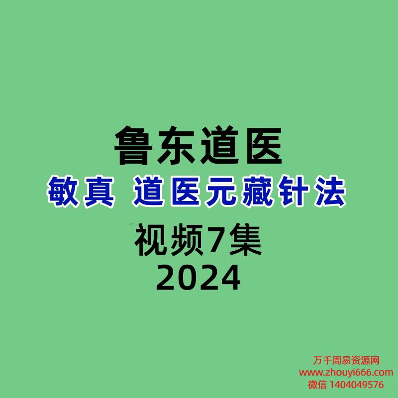 鲁东道医敏真道医元藏针法7集视频