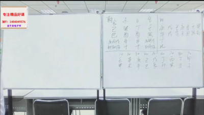 星月辰光八字实战案例进阶班教学，视频21集