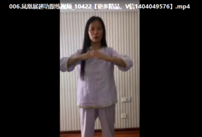 紫琳驻颜女丹功养生同修，视频7集