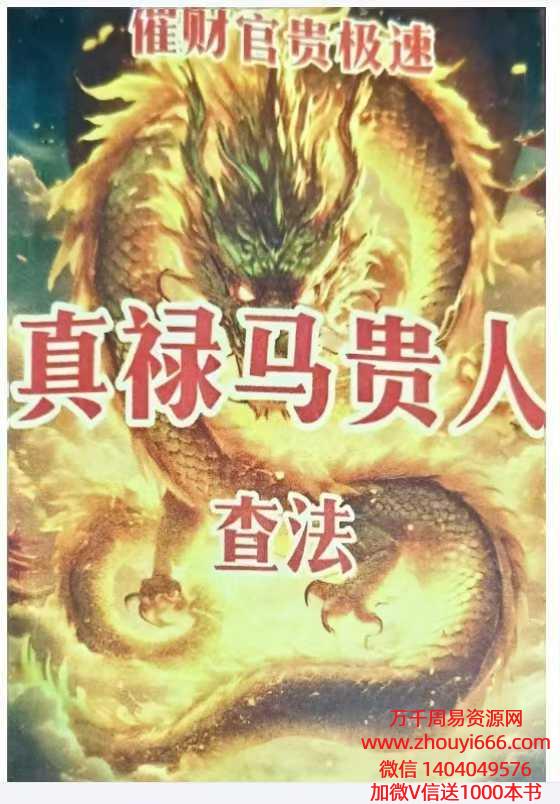 真禄马贵人查法.pdf 163页