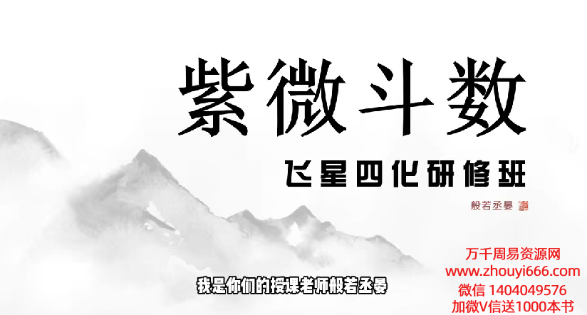 般若‮宴丞‬飞星四化‮微紫‬斗数研修班 14集视频+文档