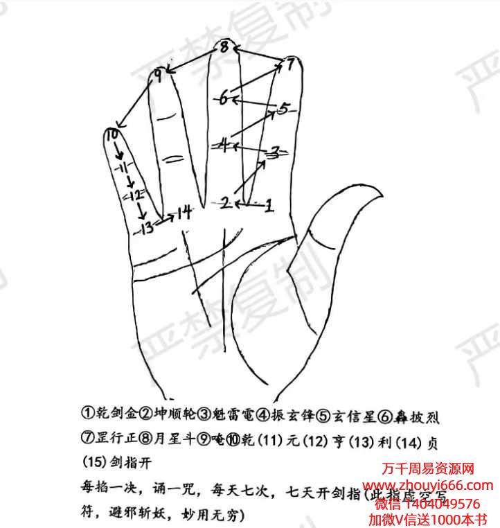 【澜卓的师兄说】早晚课筑基及内练视频10集+课件2本