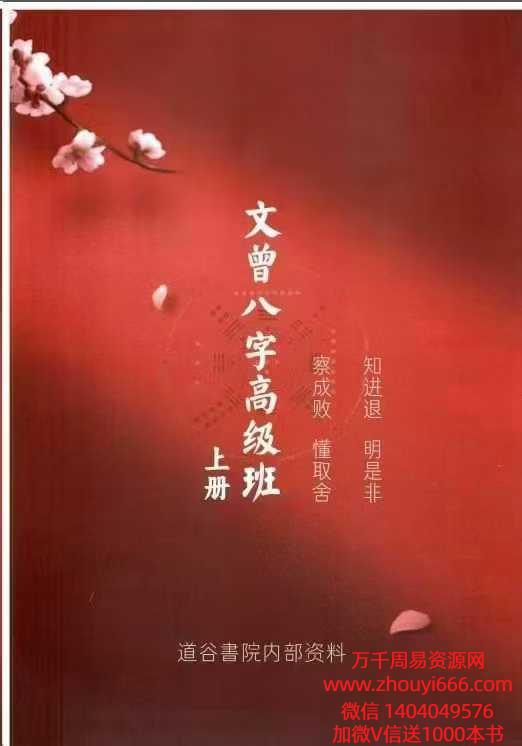 文曾《八字盲派高级班》电子书上下2册