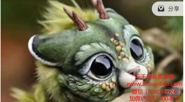南派七叔如何养灵宠PDF文档3本+图片3张