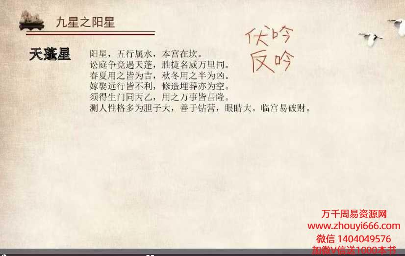 震午堂王震午奇门千里眼 24集视频