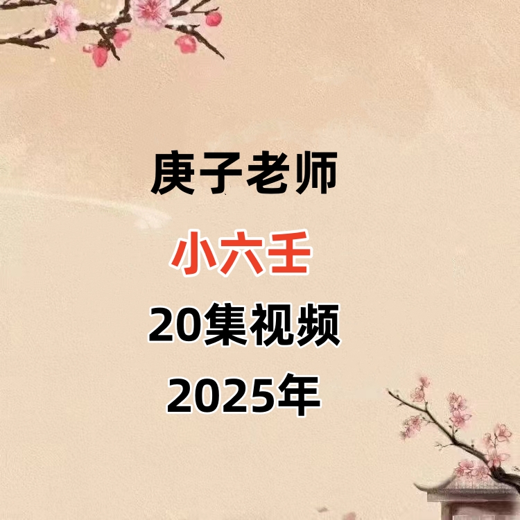 庚子老师小六壬 20集视频课