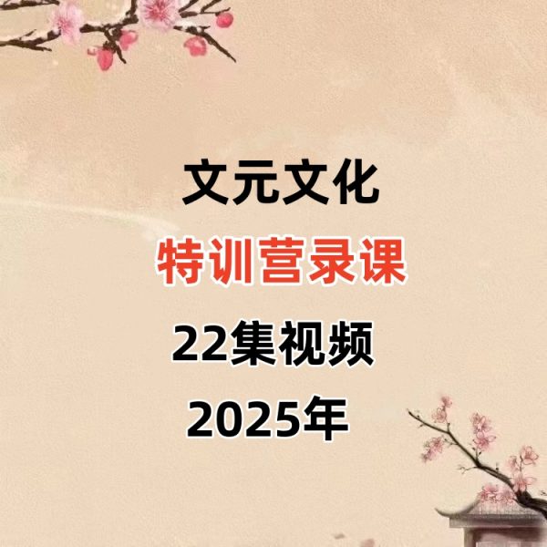 文元文化 特训营录课-22视频课