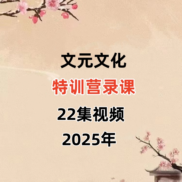 文元文化 特训营录课-22视频课