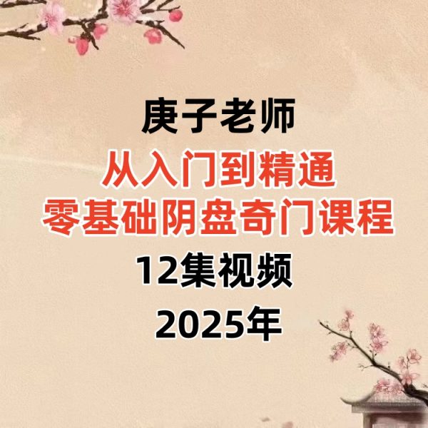 庚子老师从入门到精通零基础阴盘奇门课程12集视频