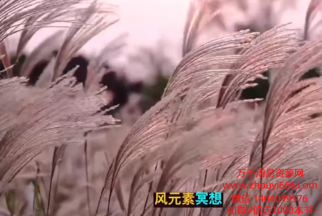 詹唐宁潜能尽显高阶营第三营-32节视频课