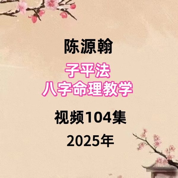 陈源翰《乙巳年子平法八字命理》教学视频104集